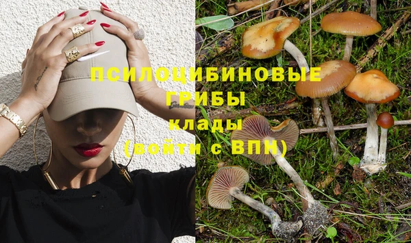 mdpv Белокуриха