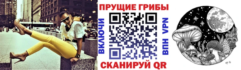 Купить  Реутов  Псилоцибиновые грибы прущие грибы 